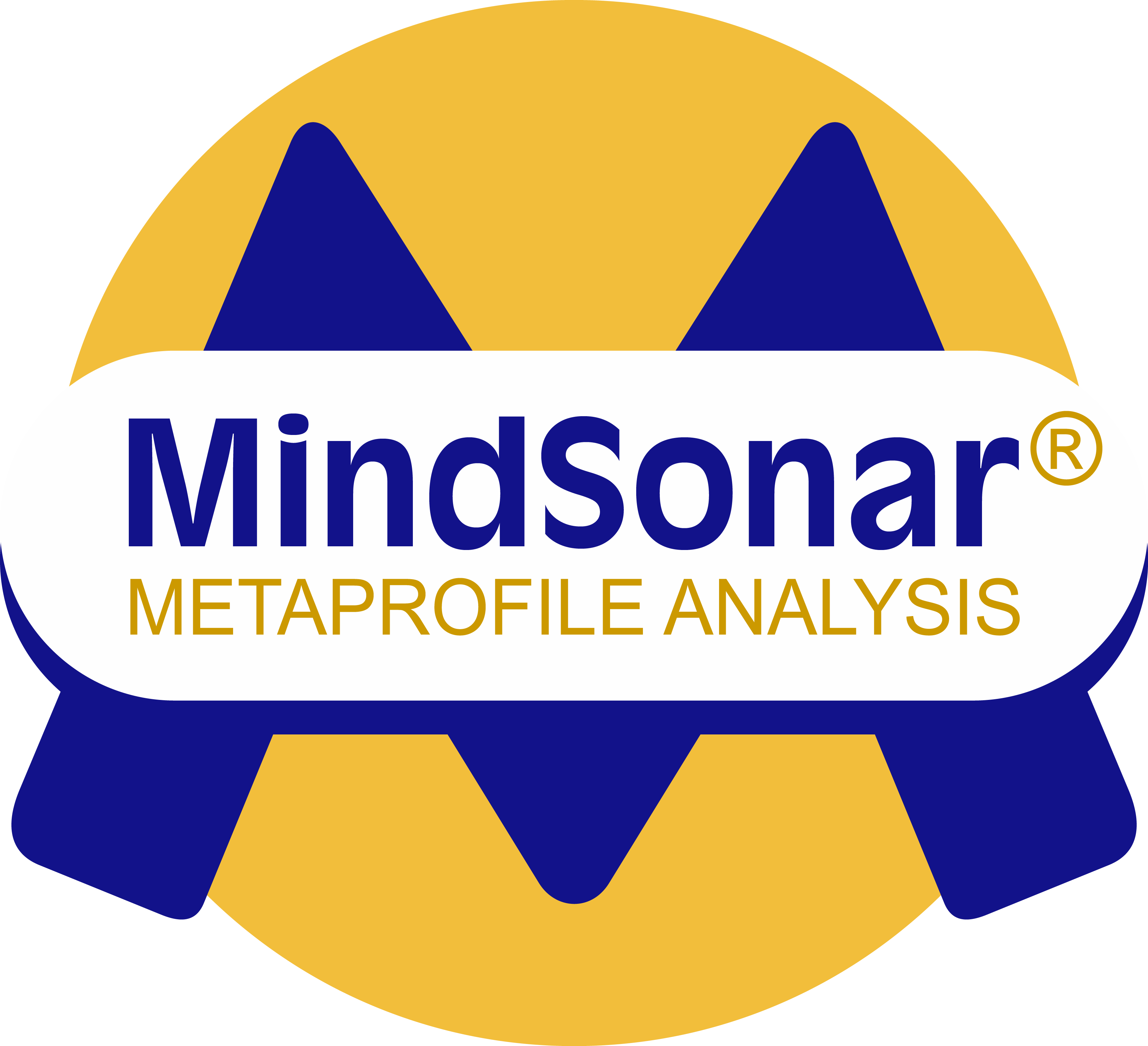 MindSonar Florida USA